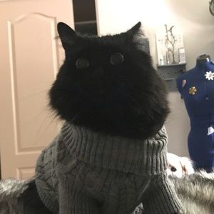 Meet your Posher, Kate